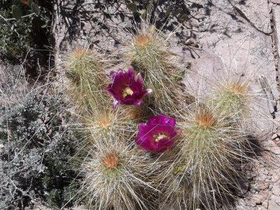 2015 03 05_Hike_0084.JPG