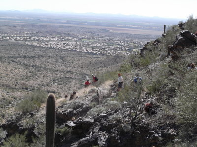 Bursera - National - Lost Camp Loop 3/6/2015