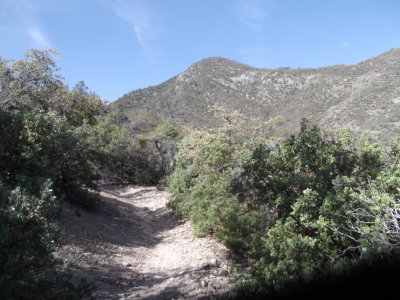 2015 04 09_Hike_0001.JPG