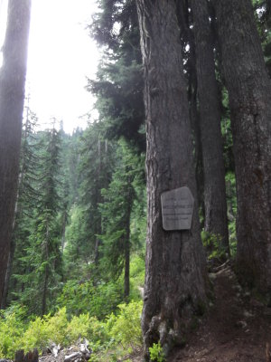 2015 07 24_Hike_0080.JPG