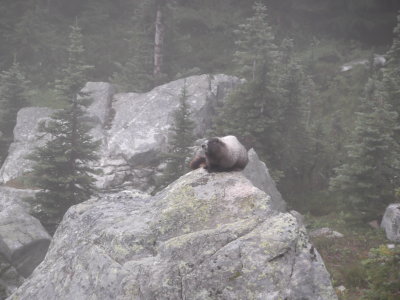 2015 07 25_Hike_0053.JPG