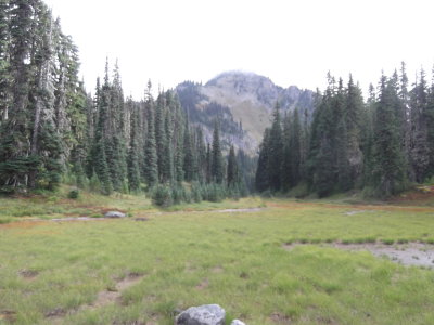 2015 08 15_Scram_0002.JPG