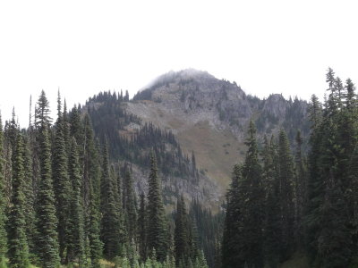 2015 08 15_Scram_0003.JPG