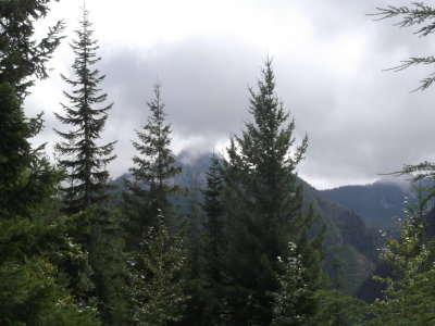 Scorpion Mountain 8/20/2015