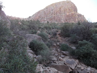 2016 03 03_Hike_0003.JPG