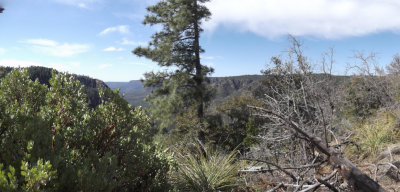 2016 03 08_Hike_0004-0005_stitch.jpg