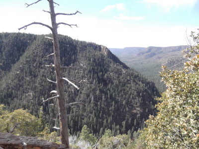 2016 03 08_Hike_0006.JPG
