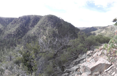 2016 03 08_Hike_0014-0033_stitch-2.jpg