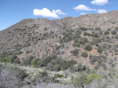 2016 03 31_Hike_0004.JPG