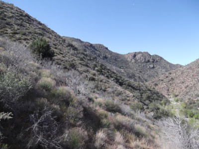 2016 03 31_Hike_0011.JPG
