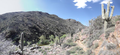 2016 03 31_Hike_0025-0032_stitch.jpg