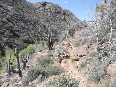 2016 03 31_Hike_0027.JPG