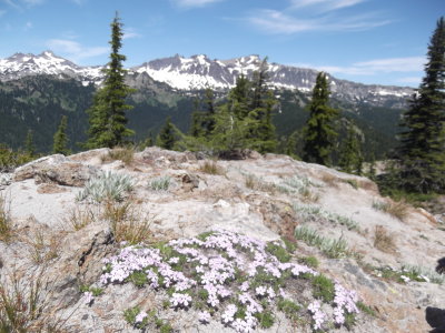 2016 07 02_Backpack_0029.JPG
