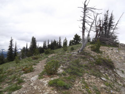 2016 07 09_Hike_0016.JPG
