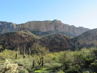 IMG_0769.JPG