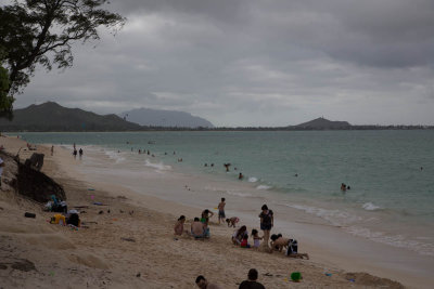 Beach in Kailua