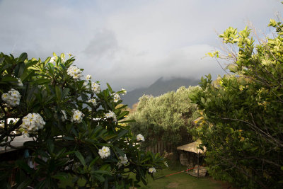 View from rental house