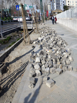 IMGP7935.jpg