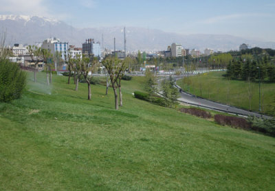 IMGP9220.jpg
