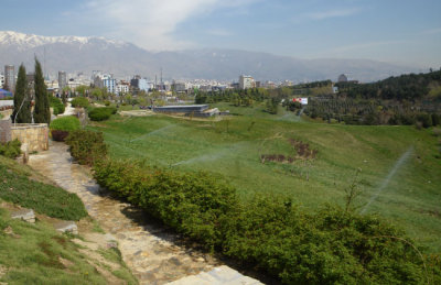 IMGP9227.jpg