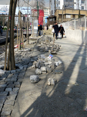 IMGP7931.jpg