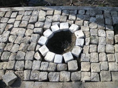 IMGP7934.jpg