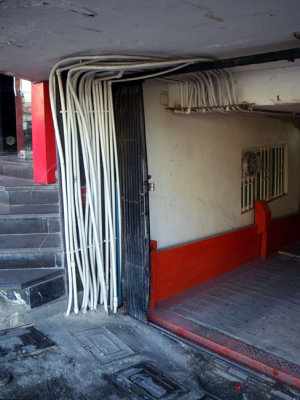 IMGP7946.jpg