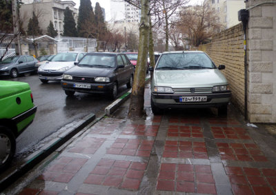 IMGP8040.jpg