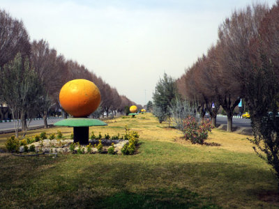IMGP8171.jpg