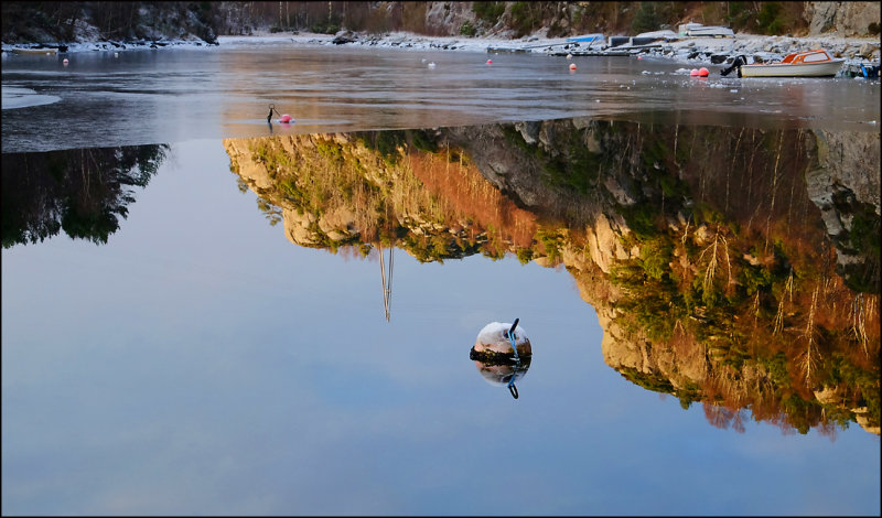 Reflection and ice......