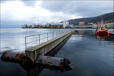 Bergen harbour today # 2.......