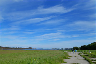 Tall blue sky......