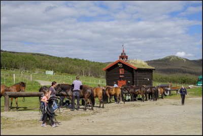 Horseriding centre, Dovre mountainrange in Norway...