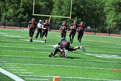 DSC_7599_1.jpg