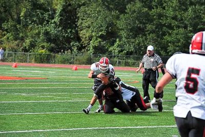 DSC_7604_1.jpg