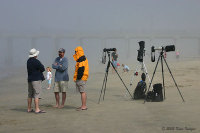 foggyphotogs.jpg