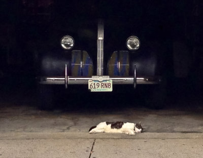 Asleep near the wheels