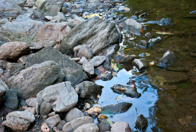 Wissahickon creek rocks