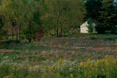 Autumn Field