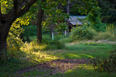 Path to the Springhouse