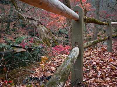 Creekside along the path