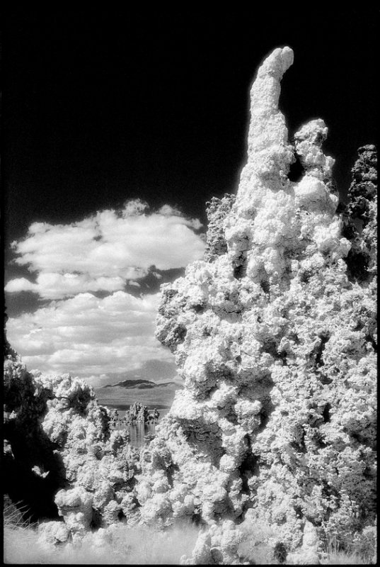 monoinfrared.tif