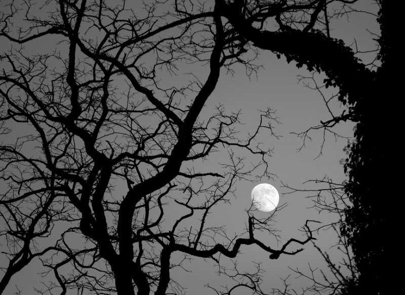moonrise.tif