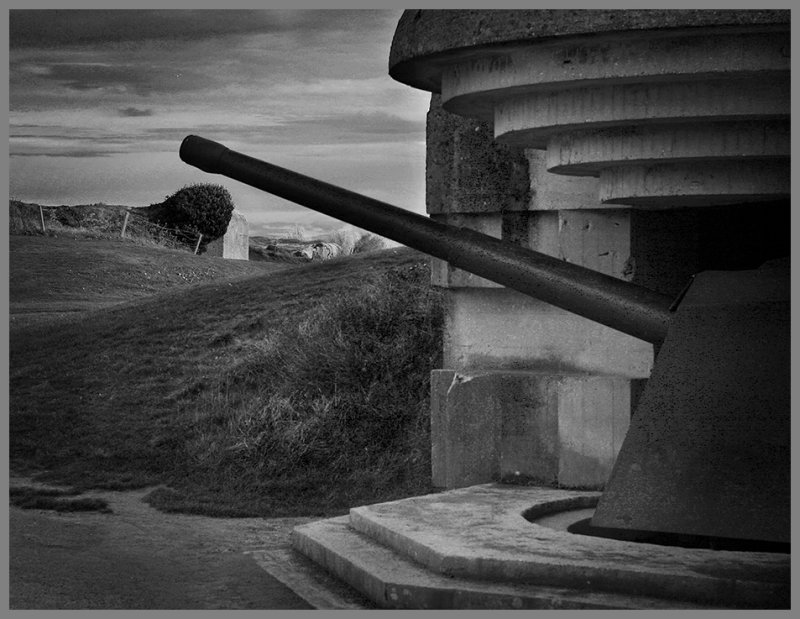 _MG_9982bw.jpg