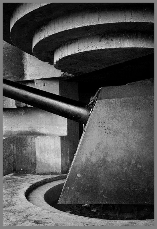 _MG_9981 copy.jpg