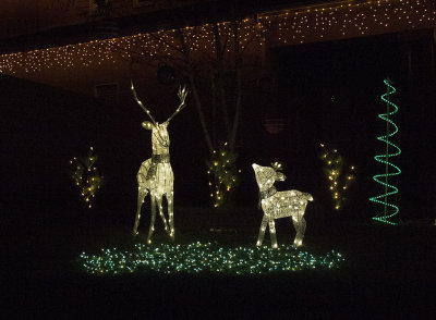 20131217_Christmas Lights_1355.jpg