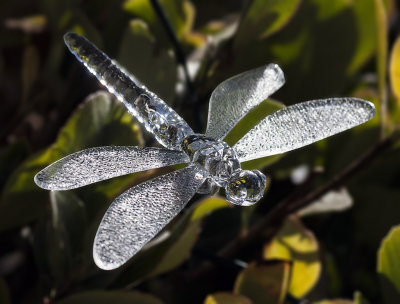 Solar lighted dragonflies, they come on a string that you can weave into your bushes