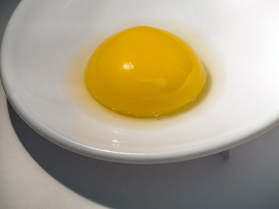 Y is for yolk