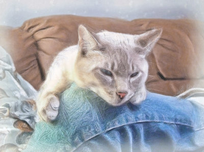 Pogo painted in pastels in Corel Painter Essentials 4