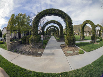 City Park with Vine Covered Arches